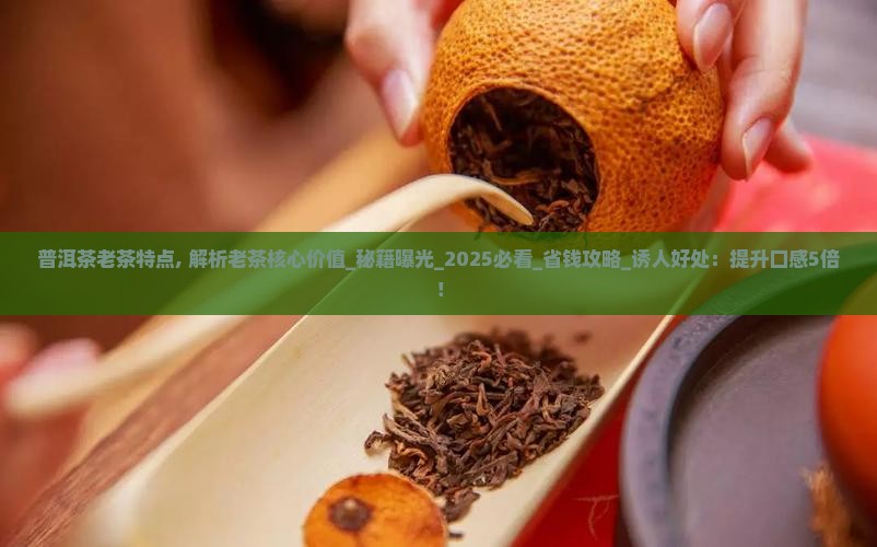 普洱茶老茶特点