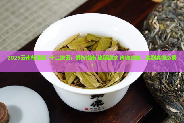 云南普洱茶乛十二块田