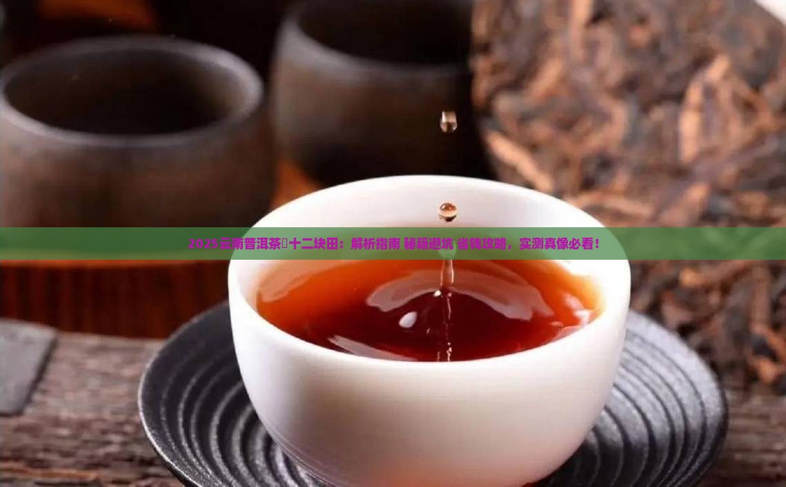 云南普洱茶乛十二块田