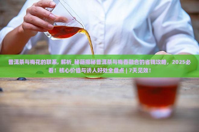 普洱茶与梅花的联系