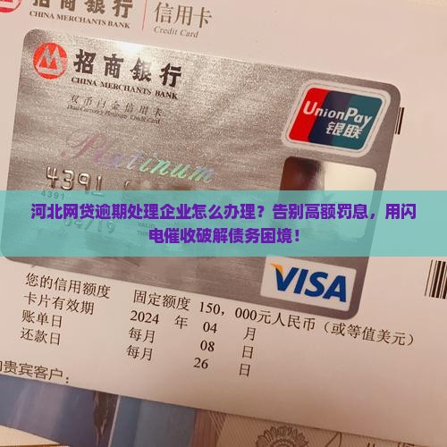 河北网贷逾期处理企业应该怎么办理