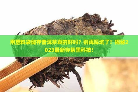 用塑料袋储存普洱茶