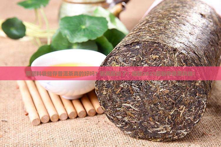 用塑料袋储存普洱茶