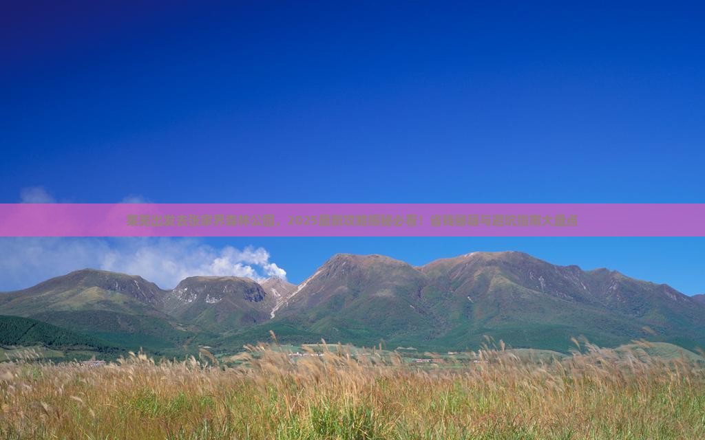 莱芜去张家界森林公园必去地