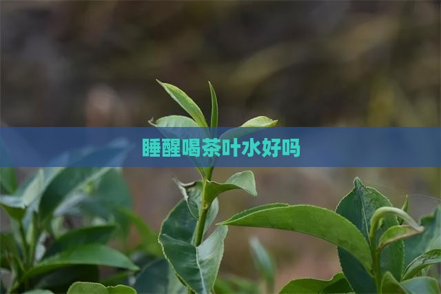 睡醒喝茶叶水好吗