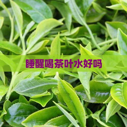 睡醒喝茶叶水好吗
