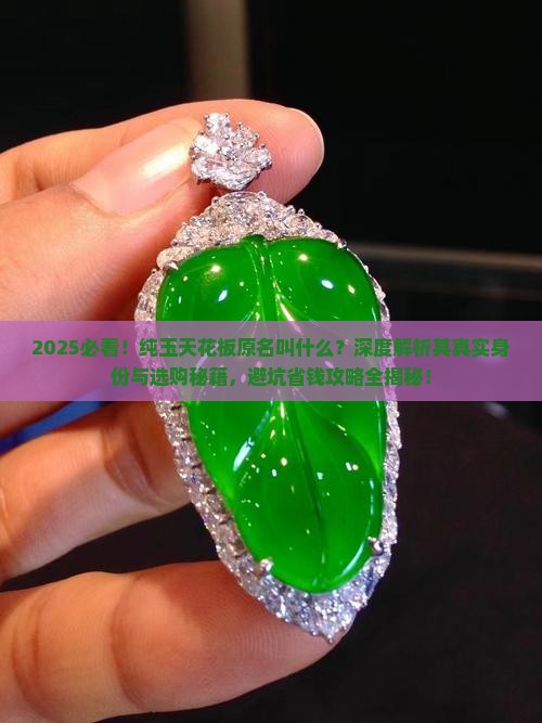 纯玉天花板原名叫什么