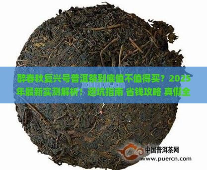醉春秋复兴号普洱茶