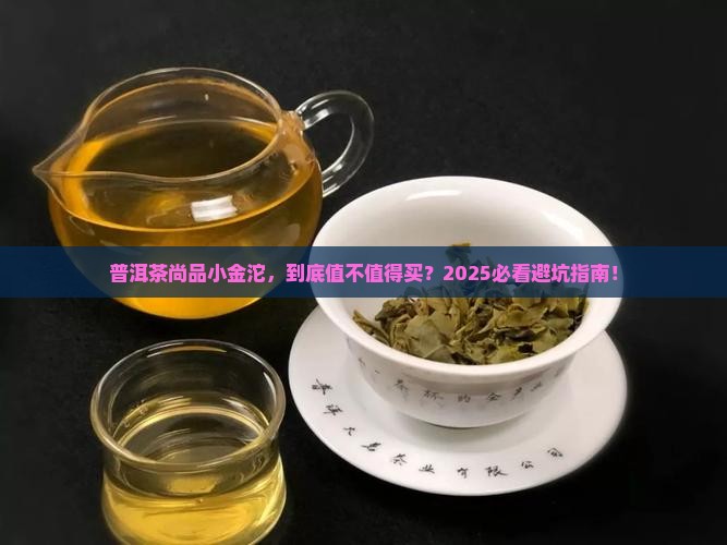普洱茶尚品小金沱