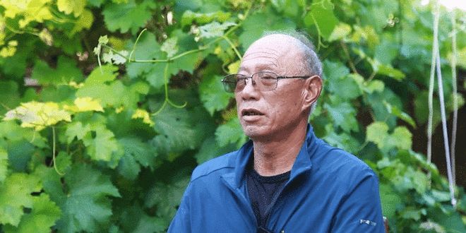 【永不褪色的荣光】对越自卫反击战老兵柳保财：七处弹片与一只左眼