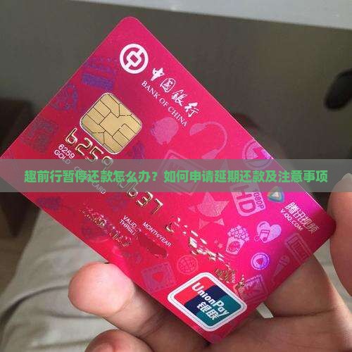 趣前行暂停还款怎么办