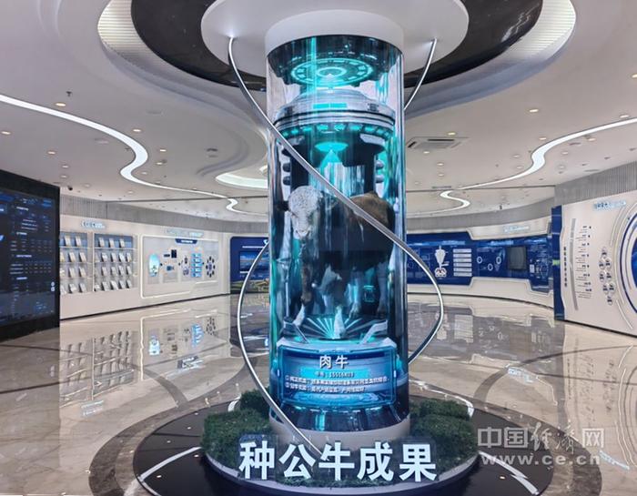赛科星的展示大厅。中国经济网　年巍／摄