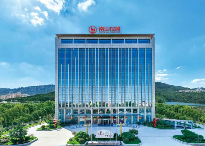 南山再登中国民营企业500强