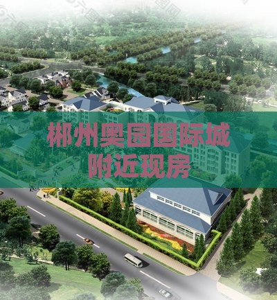 郴州中源国际城附近现房