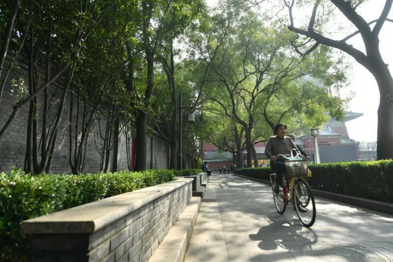 北京老胡同如何精雕细琢？到东城“最美街巷”钟楼湾胡同来打卡