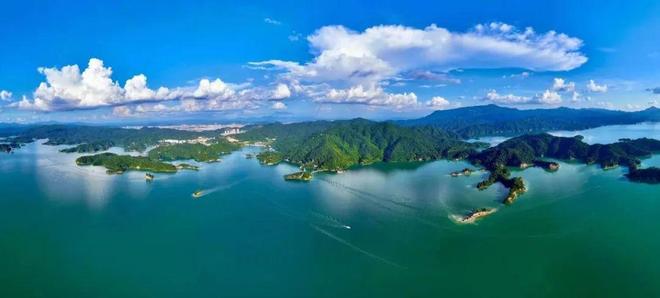 万绿湖风景区：守护一片碧水，探索生态旅游发展新模式