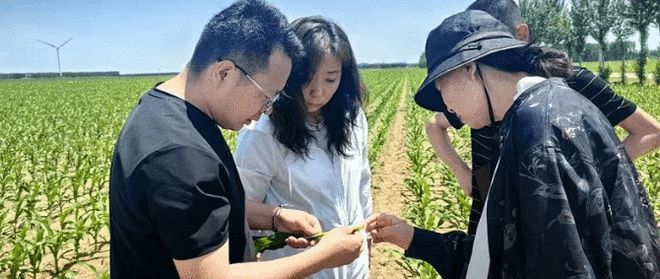 科普月里话农科 指尖“慧”种田 科技暖农家