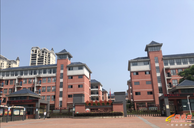 中源国际城