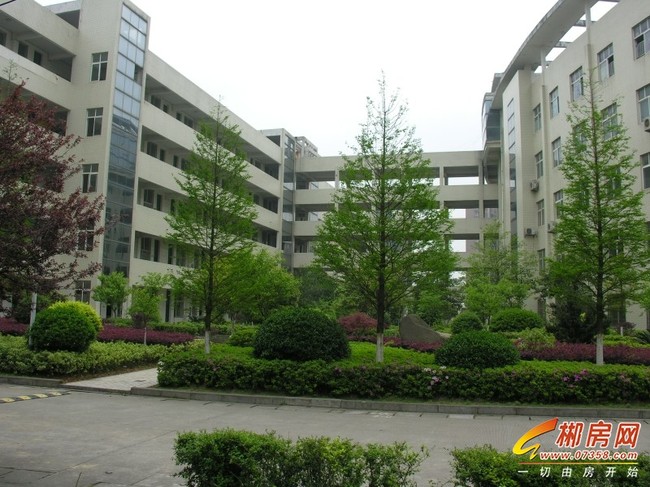 湘南中学2.JPG