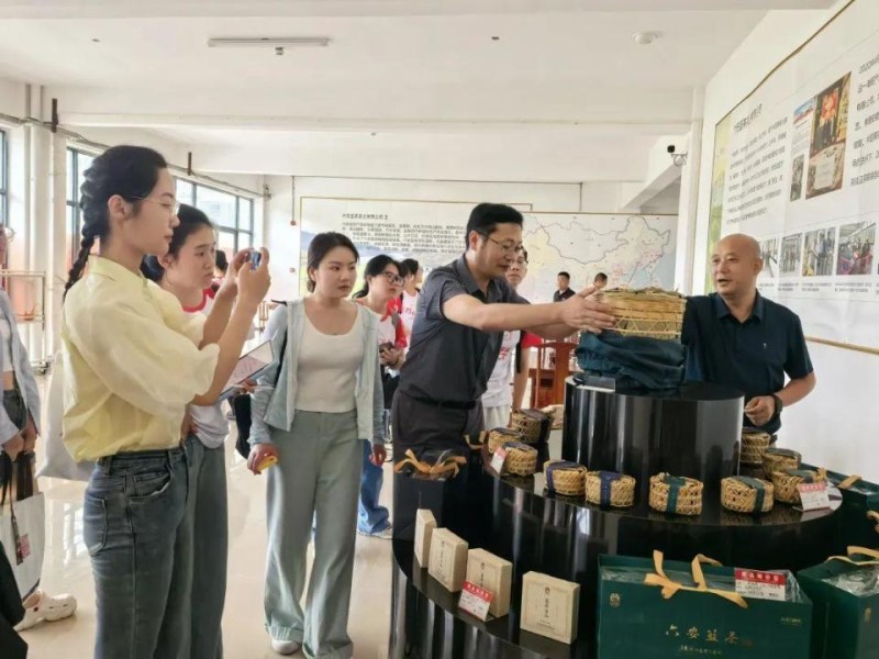 六安篮茶：穿越数百年 古味溢新香