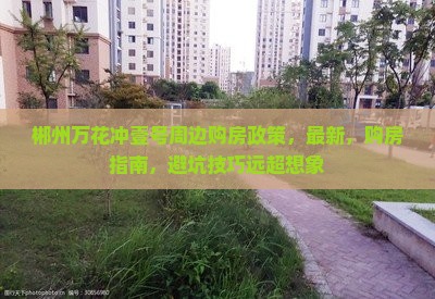 郴州万花冲壹号周边购房政策，最新，购房指南，避坑技巧远超想象