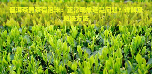 普洱茶煮茶有泡沫:正常现象还是问题?详解及解决方法-普洱生茶熟茶
