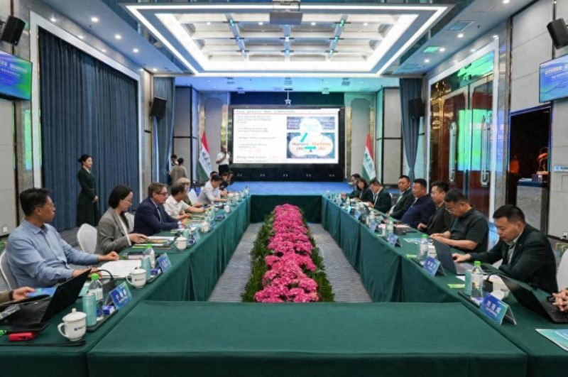 从能源转型到全球化布局 国际智库顶级智囊团“把脉开方”鹏飞发展蓝图