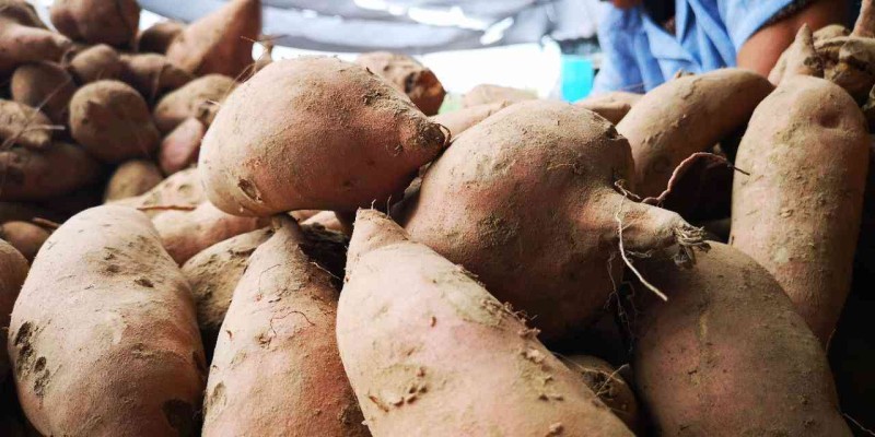 畅享创作自由：免费在线写作与分享平台