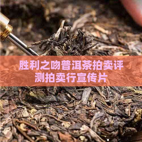 胜利之吻普洱茶拍卖评测拍卖行宣传片