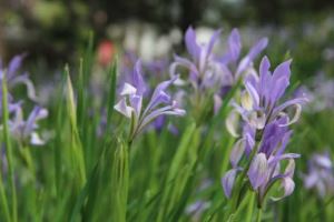 Excel2016四个超强的数据分析功能 Excel2016四个超强的数据分析功能